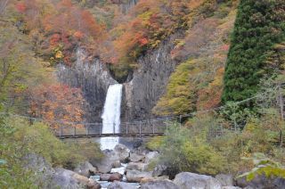 「めばる　ぱぱ」さんからの投稿写真