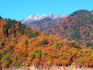 「アンディ」さんからの投稿写真