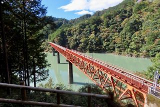 「栃木の山ちゃん」さんからの投稿写真