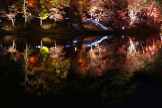 「自由な旅人」さんからの投稿写真＠岡崎市東公園