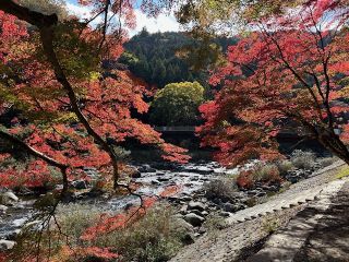 「けけちゃま」さんからの投稿写真