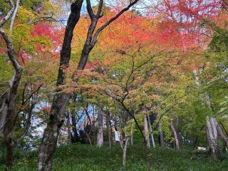 「けけちゃま」さんからの投稿写真