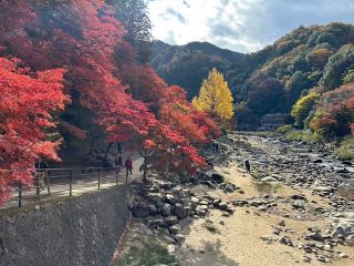 「けけちゃま」さんからの投稿写真