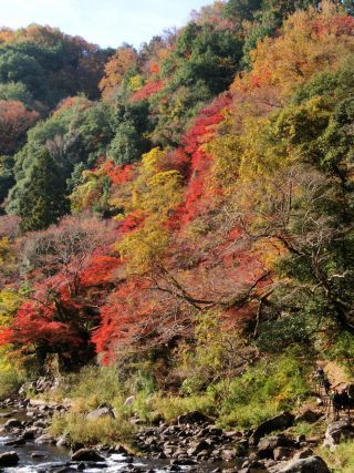 「Autumn leaves hunter2025」さんからの投稿写真＠香嵐渓