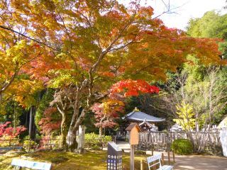 「楽々」さんからの投稿写真＠長谷寺