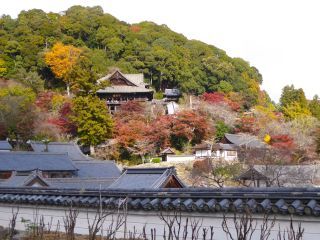 「楽々」さんからの投稿写真＠長谷寺