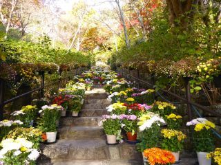 「楽々」さんからの投稿写真