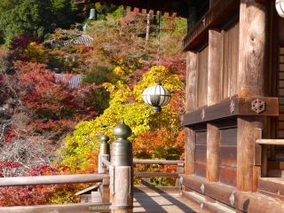 「楽々」さんからの投稿写真＠長谷寺