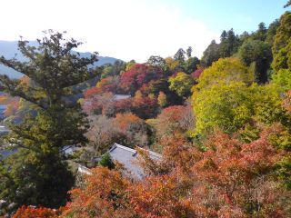「楽々」さんからの投稿写真＠長谷寺