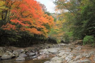 「YOSI」さんからの投稿写真＠見立渓谷