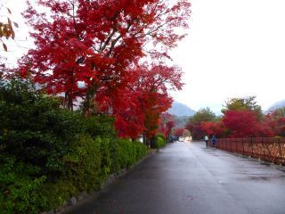 「楽々」さんからの投稿写真＠天龍寺