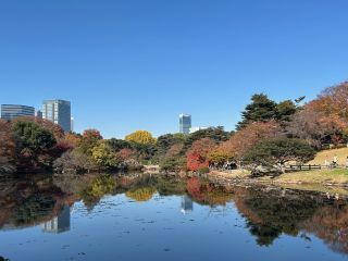 「かもみーる」さんからの投稿写真