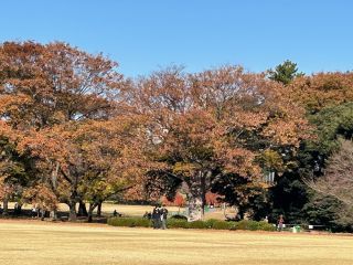 「かもみーる」さんからの投稿写真