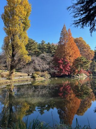 「かもみーる」さんからの投稿写真