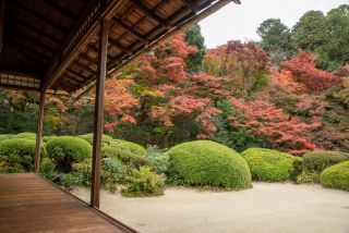 「乗換案内スタッフ」さんからの投稿写真