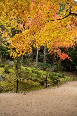 「乗換案内スタッフ」さんからの投稿写真