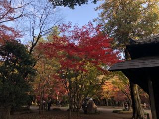 「tomo」さんからの投稿写真