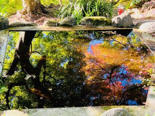 「カメカメ」さんからの投稿写真＠三十路苑