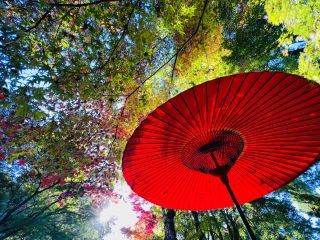 「カメカメ」さんからの投稿写真＠三十路苑