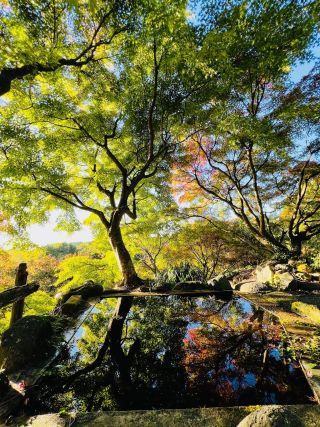 「カメカメ」さんからの投稿写真＠三十路苑