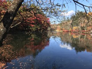 「ズンバ」さんからの投稿写真＠軽井沢 雲場池