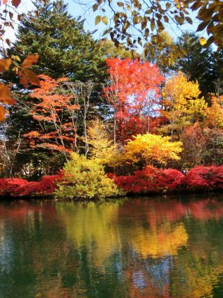 「Autumn leaves hunter2025」さんからの投稿写真