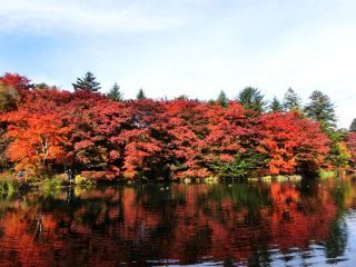 「Autumn leaves hunter2025」さんからの投稿写真＠雲場池