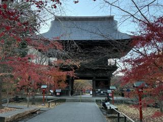 「龍天凰」さんからの投稿写真＠九品仏 浄真寺