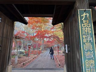 「龍天凰」さんからの投稿写真＠九品仏 浄真寺