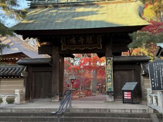 「龍天凰」さんからの投稿写真＠九品仏 浄真寺