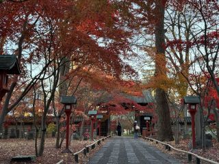 「龍天凰」さんからの投稿写真＠九品仏 浄真寺