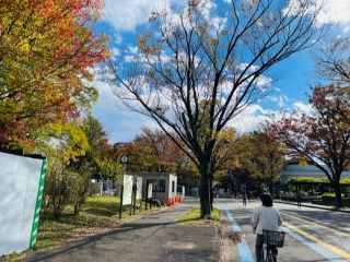 「まゆぼう」さんからの投稿写真＠駒沢オリンピック公園