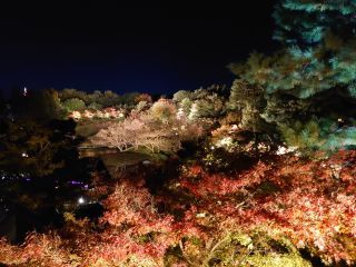 「JUNSKY」さんからの投稿写真＠梅小路公園 朱雀の庭 いのちの森