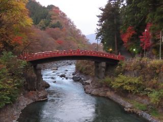 「栃木の山ちゃん」さんからの投稿写真