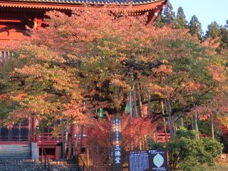 「栃木の山ちゃん」さんからの投稿写真