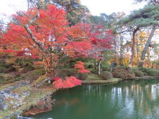 「栃木の山ちゃん」さんからの投稿写真