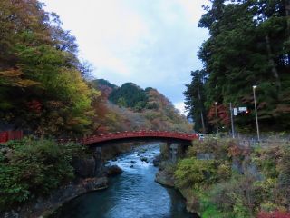 「栃木の山ちゃん」さんからの投稿写真