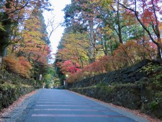 「栃木の山ちゃん」さんからの投稿写真