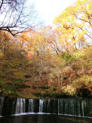 「Autumn leaves hunter2025」さんからの投稿写真＠軽井沢 白糸の滝