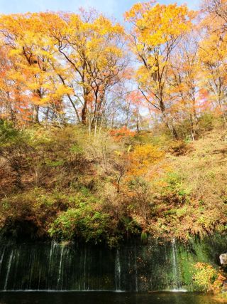 「Autumn leaves hunter2025」さんからの投稿写真＠軽井沢 白糸の滝
