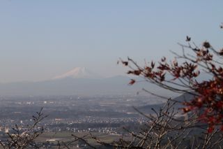 「栃木の山ちゃん」さんからの投稿写真