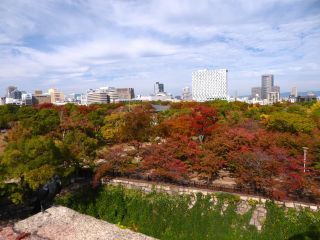 「楽々」さんからの投稿写真＠大阪城公園