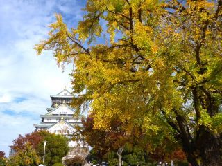 「楽々」さんからの投稿写真＠大阪城公園