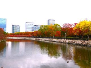 「楽々」さんからの投稿写真