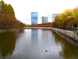 「楽々」さんからの投稿写真