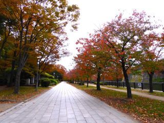 「楽々」さんからの投稿写真