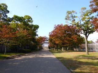 「楽々」さんからの投稿写真＠大阪城公園