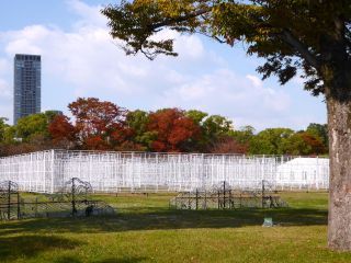 「楽々」さんからの投稿写真＠大阪城公園