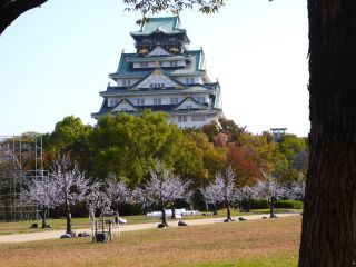 「楽々」さんからの投稿写真＠大阪城公園