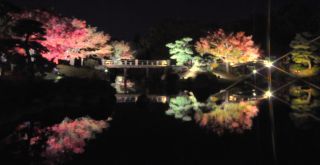「domarin77」さんからの投稿写真＠大仙公園 日本庭園